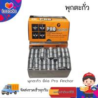 พุ๊กตะกั่ว 1/4″ PRO ANCHOR (กล่อง100 ตัว)