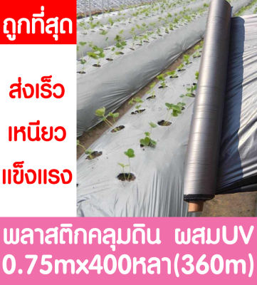*ค่าส่งถูก* พลาสติกคลุมดิน 0.75ม.x400หลา(360ม) พลาสติกคลุมแปลง พลาสติกดำ/เงิน พลาสติกกันวัชพืช กันวัชพืช ปลูกผัก ปลูกผลไม้ เกรดAผสมUV(ไม่เจาะร