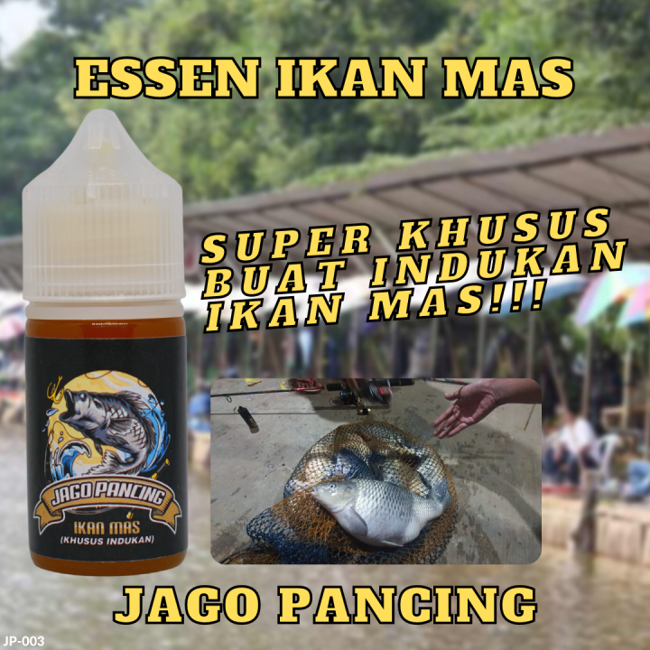 Essen Jago Pancing Dck Essen Ikan Mas Khusus Indukan Paling Ampuh