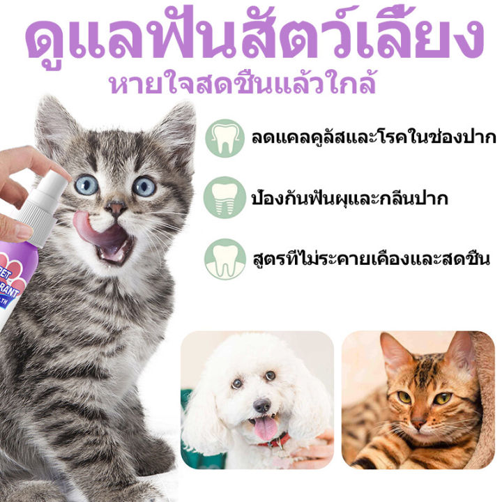 แนะนำจากหมอสัตว์เสี้ยง-yegbong-น้ำยาดับกลิ่นปากแมว-60ml-น้ำยาดับกลิ่นปากสุนัข-ป้องกันโรคในช่องปากของสัตว์เลี้ยง-ขจัดฟันคราบพลัคแคลคูลัสทันตกรรมใช้ได้ทั้งแมวและสุนัข-ดับกลิ่นปากแมว-ดับกลิ่นปากหมา-สเปรย