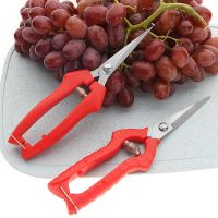 [AMO Garden Decoration]กรรไกรตัดแต่งกิ่งพืชสวนผลไม้กรรไกรสวน Pruners เครื่องมือสาขาเฉือนสวนผลไม้กรรไกรตัดแต่งกิ่งเครื่องมือทำสวนกรรไกรผลไม้