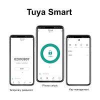 Tuya ล็อกประตูด้วยลายนิ้วมืออิเล็กทรอนิกส์แบบ5-In-1,หน้าจอสัมผัส WIFI ประจำบ้านอัจฉริยะปลอดภัยรหัสประจำตัวแบบไร้กุญแจ