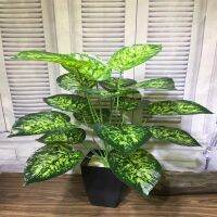 (Leisurely)ใหม่70ซม. พืชประดิษฐ์ Monstera Eucalyptus Fake Tree Succulent Garden ห้องนั่งเล่นห้องนอน Tropical Patio ตกแต่งบ้านกลางแจ้ง