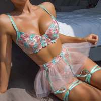 2023 Korean 4-Piece Floral Embroidery Lingerie Set Women Mesh Ball Gown Dress Garter Kit Brief Sexy Erotic Set