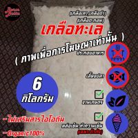 [Agricultural Salt 6 kg] เกลือสมุทร เกลือทะเล เกลือเกษตร เกลือเทา เกลือดำ น้ำหนัก 6 กิโลกรัม