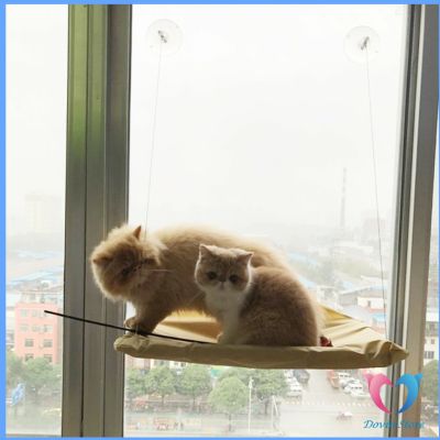 Dovin เปลแมว เปลแมวติดกระจก ขนาดใหญ่ 55x35ซม. รับน้ำหนักได้ถึง 15 kg ของเล่นแมว ที่นอนแมว บ้านแมว Cat Windows Bed Siter
