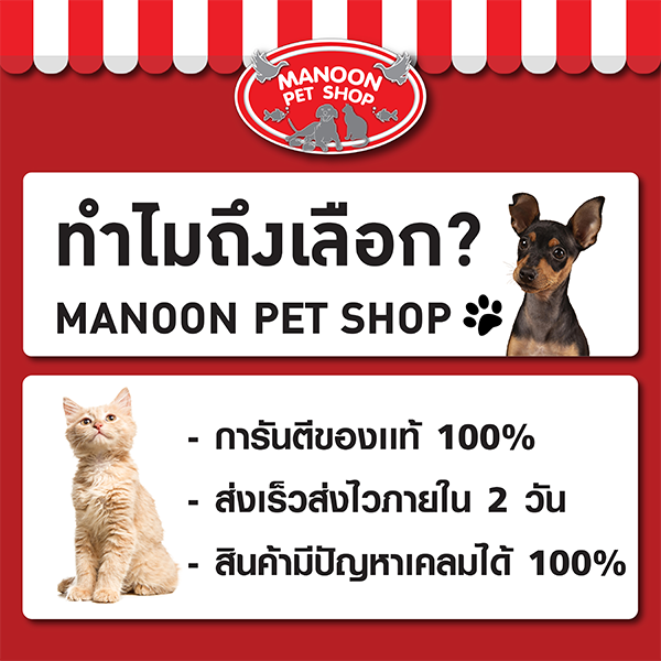 manoon-purina-one-urinary-care-cat-food-เพียวริน่า-วัน-อาหารแมว-สูตรควบคุมการเกิดนิ่ว