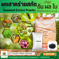 สาหร่ายสีเขียวแกมน้พเงิน Seaweed Extract Powder ผงสาหร่ายสกัด (จีน) ละลายน้ำ 100% บรรจุ1 กก.