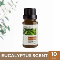 Aroma Oil น้ำมันหอมระเหย กลิ่นยูคาลิปตัส Eucalyptus ขนาด 10ml - น้ำมันอโรม่า Fragrance Oil ใช้กับเครื่องพ่นไอน้ำ เครื่องพ่นอโรม่า เตาอโรม่า ราคาคุ้ม!