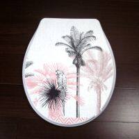 toilet lid cover standard closing 2019high quality colorful toilet seat cover set hot selling fashion bathroom pp toilet seat