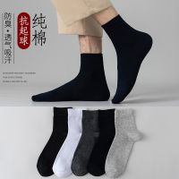 Ready Pure cotton socks in the new winter absorbent odor-proof stockings pure color resistance to pilling thin section socks in spring and summer men