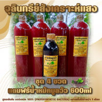 หัวเชื้อจุลินทรีย์สังเคราะห์แสง 1.5 ลิตร ชุด 4 ขวด แถมน้ำหมักมูลวัว 1 ขวด สูตรเข้มข้น ออร์แกนิค 100% เร่งการเจริญเติบโต