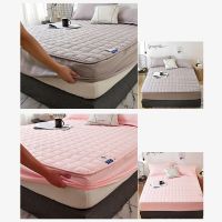 Thickened Mattress Cover Bed Top Quilted Large Sheet Antibacterial Breathable Bed Cover Mattress Protection (No Pillowcase)