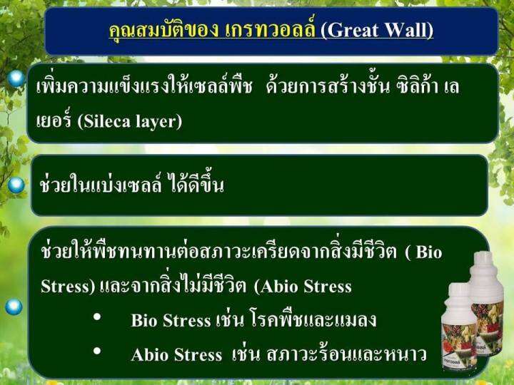 เกรทวอลล์-great-wall-ธาตุซิลิกอน-si-500cc