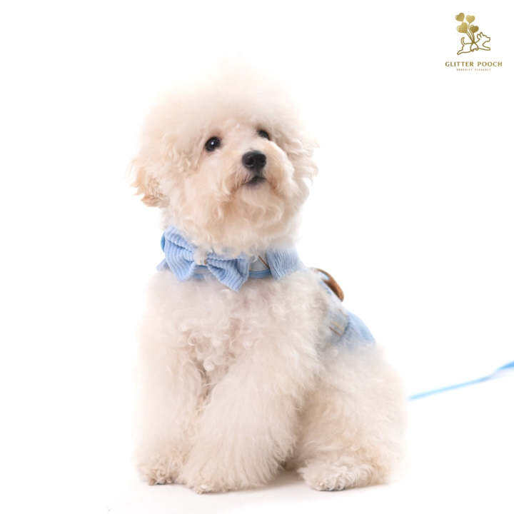 glitter-pooch-harness-ชุดรัดอก-สายจูง-เสื้อผ้า-สุนัข-หมา-แมว-สัตว์เลี้ยง-พร้อม-สายจูง-รุ่น-bluetiful-teddy-boy