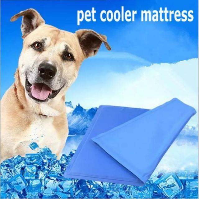 pet-cool-mat-ที่นอนเจลเย็นหมา-แมว-ขนาดl-แผ่นเบาะเจลเย็นรองนอนสำหรับสุนัขตัวใหญ่-ช่วยคลายร้อนสำหรับสุนัข-size-l-90-50cm-ผ้าหุ้มหนากันน้ำซึม-ทำความสะอาดง่าย