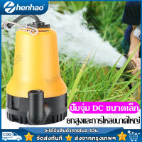 ปั๊มน้ำแบบแช่ ปั๊มน้ำไฟฟ้า ปั้มน้ำ มินิ ปั๊มน้ำไดโว่ DC Submersible Pump 24V 1นิ้ว ปั๊มน้ำ ปั้มแช่ ปั๊มไดโว่ ปั๊มจุ่ม