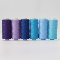 6Pcs 200 Yards Sewing Thread Embroidery Machine Thread Accessories Home Repair DIY Sewing Craft Polyester Thread Multicolor Set