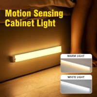 ﹊ Magnetic Motion Sensor Light Wireless LED Night Light Rechargeable Wardrobe Cabinet Lamp Kitchen Bedroom Closet Lighting