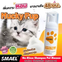 SMAEL Pet มูสโฟมอาบน้ำแห้งแชมพูอาบน้ำแห้งสำหรับสัตว์เลี้ยงและสัตว์เล็ก 60 ml. สูตรอ่อนโยนกลิ่นหอม ขนสวยดับกลิ่นเลียขนด้วยคุณภาพจากสารสกัดดอกคาร์โมมายด์ ปกป้องผิวหนัง ลดอาการคัน สัตว์เลี้ยงขนาดเล็ก แชมพูแห้งแมว แชมพูแห้งสุนัข #S003 #S111 #S112 ^XA