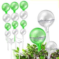 【CW】 3PCS Watering Balls  Bulbs Garden Can Houseplant Device Drip Irrigation System