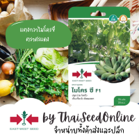 GGEW เมล็ดพันธุ์ซฟ แตงกวา ไมโครซี ตราศรแดง Cucumber Micro C