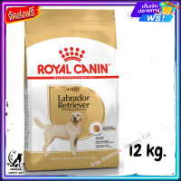 ส่งรวดเร็ว ? Royal Canin Golden Retriever Adult รอยัลคานิน อาหารสุนัขโต พันธุ์โกลเด้น อายุ 15 เดือนขึ้นไป ขนาด 12 kg.  ✨