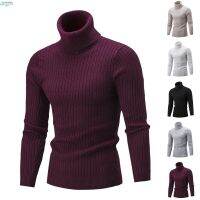 CODAndrew Hearst Solid color twist bottoming shirt turtleneck mens knit sweater sweater