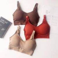 ผู้หญิง Bra Olahraga Seamless เสื้อกีฬาดันสำหรับฟิตเนสเสื้อสปอร์ตบาร์เสริมอกตัวยูด้านหลังชุดชั้นในโยคะออกกำลังกายยิมการวิ่งกันกระแทก