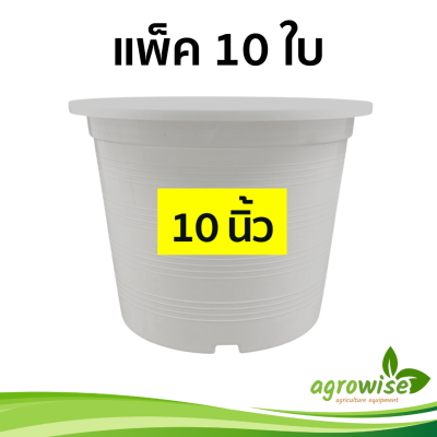 กระถาง กระถางพลาสติก กระถางปลูกต้นไม้ 10 นิ้ว สีขาว กระถางขาว 10 ชิ้น