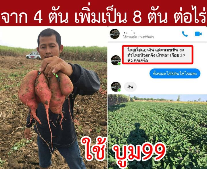 ผักสวนครัว-พืชไร่-พืชผล-ไม่ว่าคุณจากปลูกอะไร-ขอให้บูม99-ช่วยเพิ่มผลิตของท่าน