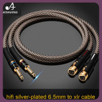 ATAUDIO เป็น XLR 6.5มม. เคลือบเงินสายเคเบิลตัวผู้6.5คู่ Hi-End ไปยังสายออดิโอ XLR คู่