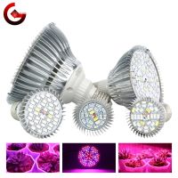 หลอดไฟ Grow LED สำหรับปลูกพืชไฮโดรโปนิกส์ในร่ม E27แบบ LED 110V 220V โคมไฟ Grow Led V