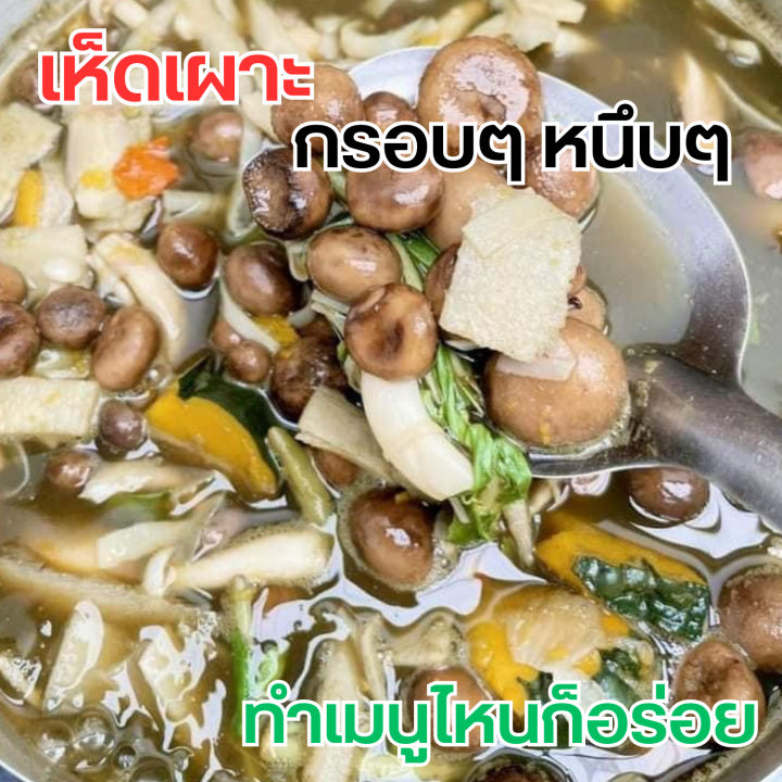 เห็ดเผาะ-คัดอ่อน-ต้มแล้ว-แพคสูญญากาศ-500-กรัม