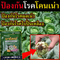 สารป้องกันกำจัดโรคพืชใบ  (ทุกชนิด) แบบฉีดพ่น ขนาด 100 g. ยาป้องกันโรคโคนเน่า ยาป้องกันโรคใบจุดดำ สารป้องกันใบเหลือง ยาป้องกันโรคทางใบ สารป้องกันโรคกล้วยไม้ ยาป้องกันโรคไม้ดอกไม้ประดับ ยาป้องกันโรคผลไม้ สารป้องกันโรคไม้ดอก สารป้องกันโรคไม้ดอกไม้ดอก