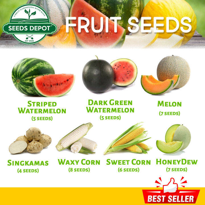 Fruits Seeds - Melon Honeydew Watermelon Pakwan Singkamas Sweet Corn ...