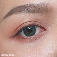 Birkin Gray Kitty Kawaii สีเทา เทา ทรีโทน 3โทน ดูแพง ใส่สวย Contact Lens Bigeyes คอนแทคเลนส์ ค่าสายตา สายตา แฟชั่น