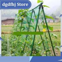 Dgdfhj Shop 4 Sizes Garden Plant Climbing Net Stand Holder Green Nylon Trellis Netting Mesh Support Bean Growing Fence Net Line