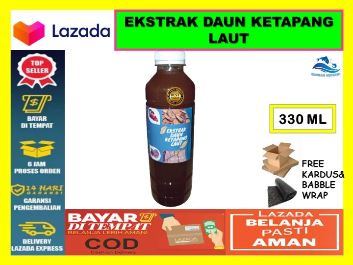 Ekstrak Daun Ketapang Laut Asli Olahan Perawatan Obat Ikan Cupang Hias