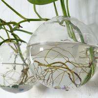 ติดผนังใหม่ถังชามแขวนTerrarium Hydroponicแจกันห้องนั่งเล่นตกแต่งผนัง S7W6