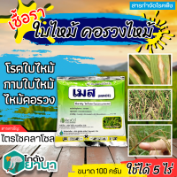 ? เมส (ไตรไซคลาโซล) ขนาด 100กรัม ป้องกันโรคไหม้ในนาข้าว