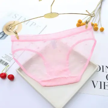 Sheer Panties, Mesh Lingerie, Pink Panties, Lace Underwear, Bikini