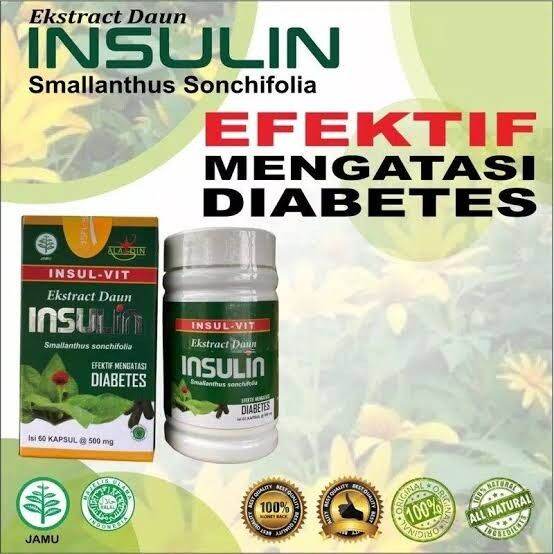 Kapsul Ekstrak Daun Insulin Ash-Shihhah INSULVIT Atasi Diabetes - 50 ...