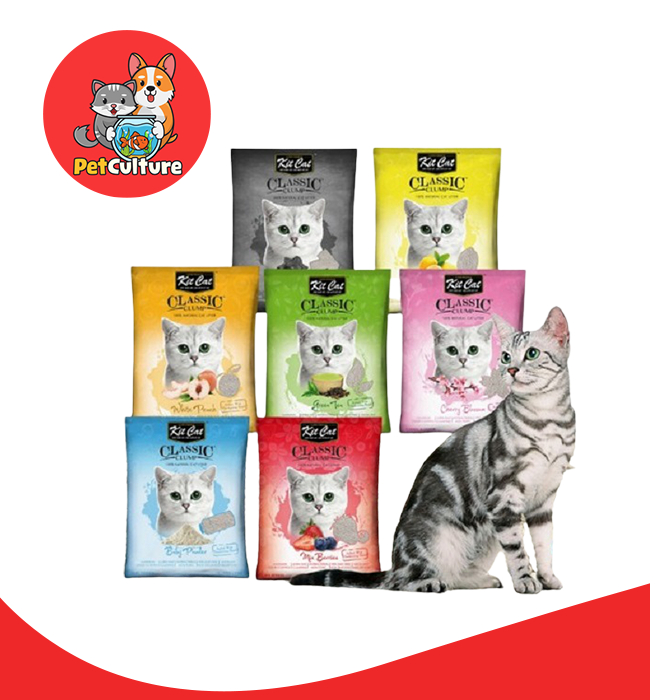 Kit Cat Litter Lazada PH