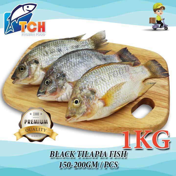 IKAN TALAPIA HITAM, BLACK TILAPIA, TCH FROZEN FOOD, FRESH FROZEN