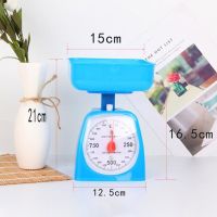 Household Kitchen Scales Pastry Scales Mechanical Spring Balance Scales Pallet Scales Children Cognitive Teaching Equipment 1KG Luggage Scales