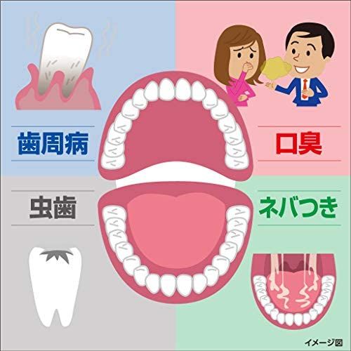 พร้อมส่ง-kobayashi-japanese-toothpaste-zerora-sterilization-90g-นำเข้าจากญี่ปุ่น-ยาสีฟัน-ยาสีฟันญี่ปุ่น-กลิ่นมินท์ผสมสารฆ่าเชื้อ