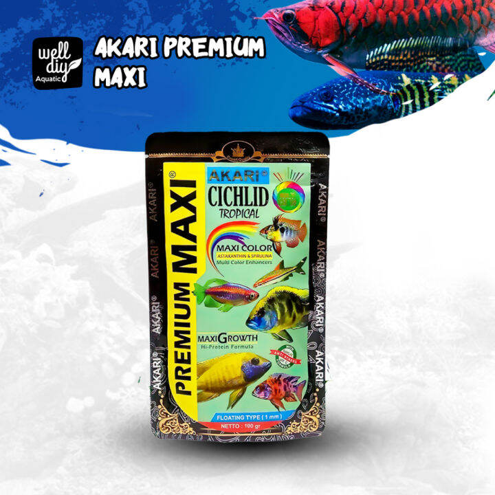 Menyusun Menu Pakan Variatif untuk Ikan Cichlid