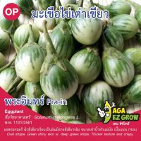 เมล็ดพันธุ์ มะเขือไข่เต่าเขียว พระอินทร์ บรรจุ 0.5 กรัม [โปรโมชั่น ซื้อ10แถม1 คละได้]