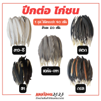 ปีกต่อไก่ชน ปีกไก่ชน ขาว สา ดู่ กรด หม่น ดอก ไม่เปาะ คัดพิเศษ 1 ชุดมีมากกว่า 40เส้น